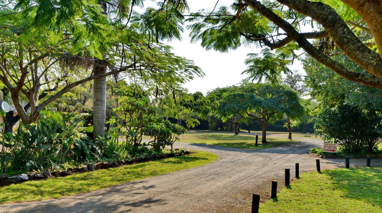 Komati River Chalets كوماتيبورت المظهر الخارجي الصورة